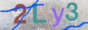 CAPTCHA (Şahıs Denetim Kodu) Resmi