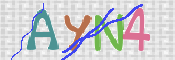 CAPTCHA (Şahıs Denetim Kodu) Resmi