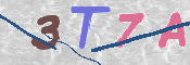 CAPTCHA (Şahıs Denetim Kodu) Resmi