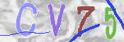CAPTCHA (Şahıs Denetim Kodu) Resmi