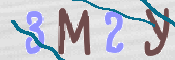 CAPTCHA (Şahıs Denetim Kodu) Resmi