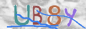 CAPTCHA (Şahıs Denetim Kodu) Resmi