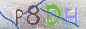 CAPTCHA (Şahıs Denetim Kodu) Resmi