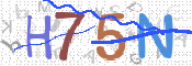 CAPTCHA (Şahıs Denetim Kodu) Resmi