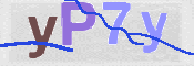 CAPTCHA (Şahıs Denetim Kodu) Resmi