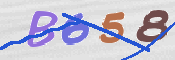 CAPTCHA (Şahıs Denetim Kodu) Resmi