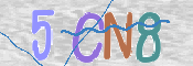CAPTCHA (Şahıs Denetim Kodu) Resmi