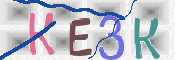 CAPTCHA (Şahıs Denetim Kodu) Resmi