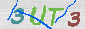 CAPTCHA (Şahıs Denetim Kodu) Resmi