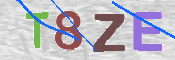 CAPTCHA (Şahıs Denetim Kodu) Resmi