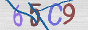 CAPTCHA (Şahıs Denetim Kodu) Resmi