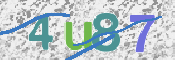 CAPTCHA (Şahıs Denetim Kodu) Resmi