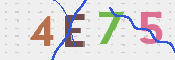 CAPTCHA (Şahıs Denetim Kodu) Resmi