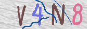 CAPTCHA (Şahıs Denetim Kodu) Resmi