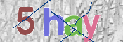 CAPTCHA (Şahıs Denetim Kodu) Resmi