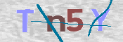 CAPTCHA (Şahıs Denetim Kodu) Resmi