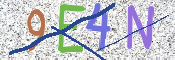 CAPTCHA (Şahıs Denetim Kodu) Resmi