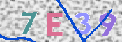 CAPTCHA (Şahıs Denetim Kodu) Resmi