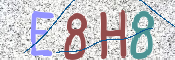 CAPTCHA (Şahıs Denetim Kodu) Resmi