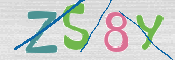 CAPTCHA (Şahıs Denetim Kodu) Resmi