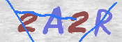CAPTCHA (Şahıs Denetim Kodu) Resmi