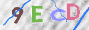 CAPTCHA (Şahıs Denetim Kodu) Resmi