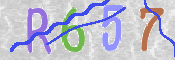 CAPTCHA (Şahıs Denetim Kodu) Resmi