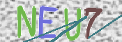 CAPTCHA (Şahıs Denetim Kodu) Resmi