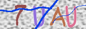 CAPTCHA (Şahıs Denetim Kodu) Resmi
