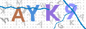 CAPTCHA (Şahıs Denetim Kodu) Resmi