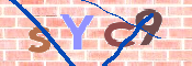 CAPTCHA (Şahıs Denetim Kodu) Resmi