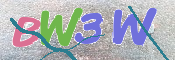 CAPTCHA (Şahıs Denetim Kodu) Resmi
