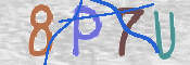 CAPTCHA (Şahıs Denetim Kodu) Resmi